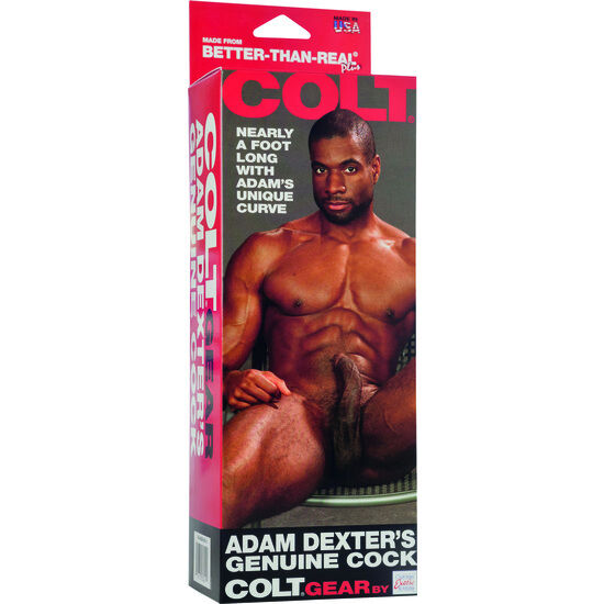 CALEXOTICS - COLT PENE REALÍSTICO ADAM DEXTER - Kanerotika SL
