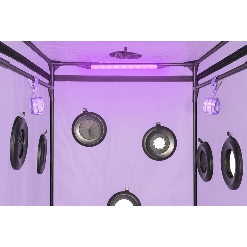 SECRET DOME - KINK CLUB CABINA SCANDALE MORADO - Kanerotika SL